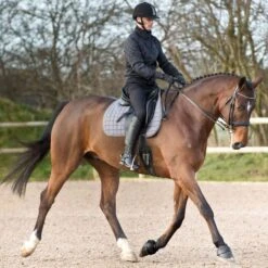 Horze Anti Twist Lock-On Bell Boots - Black -Equestrian Supplies Shop 375306 800 800