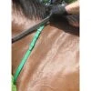 Nunn Finer Nylon Neck Grab Strap - Kelly Green