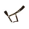 Rambo Padded Halter - Witney Gold