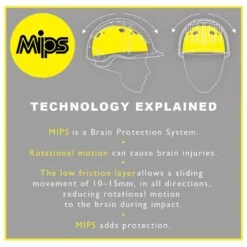 Champion Revolve X-Air MIPS Skull Cap - Silver -Equestrian Supplies Shop 401583 800 800