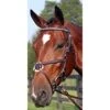 Nunn Finer Figure 8 Clincher Browband Padded Event Bridle - Havana/Brass