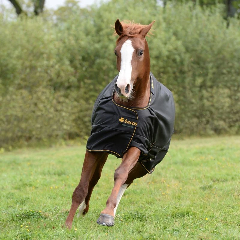 Bucas Irish Light Classic Turnout - Black/Gold 2 Bucas Irish Light Classic Turnout - Black/Gold - Image 2