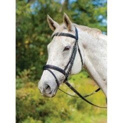 Shires Avignon Louisville Bridle - Black