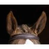 Pessoa PRO Fancy Stitched Tapered Noseband Bridle - Dark Brown