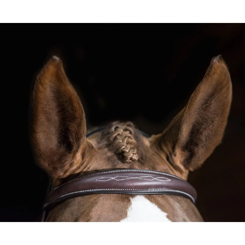 Pessoa PRO Fancy Stitched Tapered Noseband Bridle - Dark Brown 1 Pessoa PRO Fancy Stitched Tapered Noseband Bridle - Dark Brown