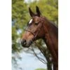 Kincade Raised Fancy Stitched Bridle - Brown