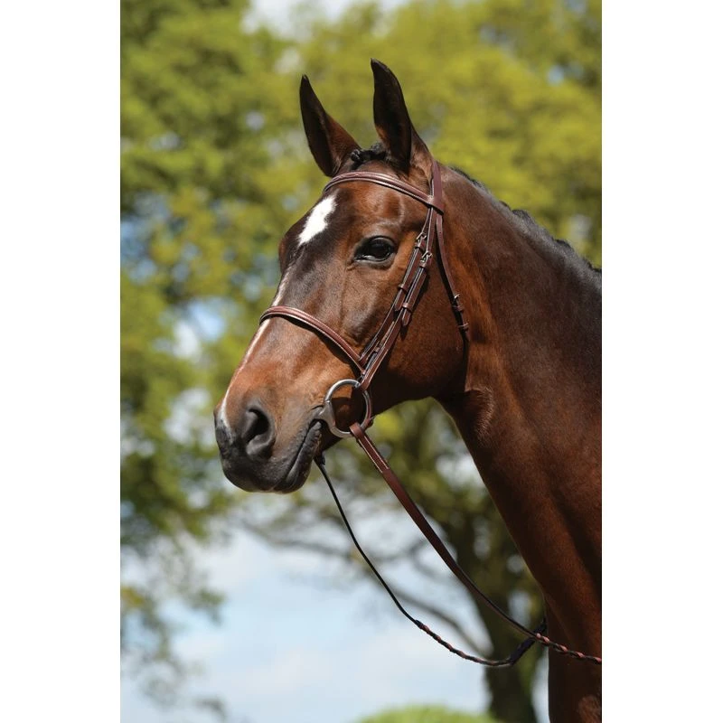 Kincade Raised Fancy Stitched Bridle - Brown 1 Kincade Raised Fancy Stitched Bridle - Brown