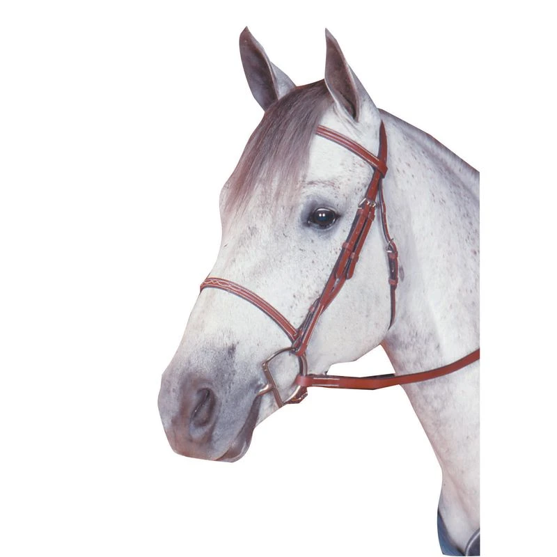 Kincade Raised Fancy Stitched Bridle - Brown 2 Kincade Raised Fancy Stitched Bridle - Brown - Image 2