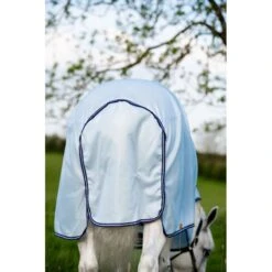 Amigo XL Bug Rug - Azure Blue/Altanic Blue/Ivory -Equestrian Supplies Shop 485127 800 800