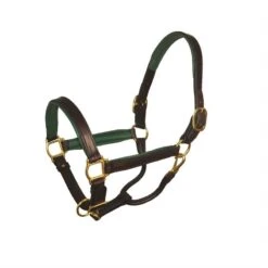 Perri's 1" Padded Leather Halter - Havana/Hunter Green