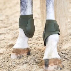 Horze Adepto Fetlock Boots - Beetle Khaki Green 7 Horze Adepto Fetlock Boots - Beetle Khaki Green -Equestrian Supplies Shop 532760 800 800