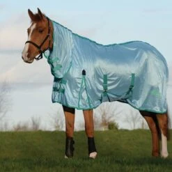 Saxon Mesh W/Gusset Belly Wrap Combo Neck - Light Blue/Green