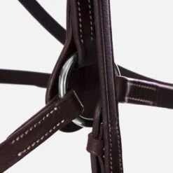 Equinavia Saga Fancy Stitched Figure 8 Bridle W/Reins - Chocolate Brown -Equestrian Supplies Shop 540884 800 800