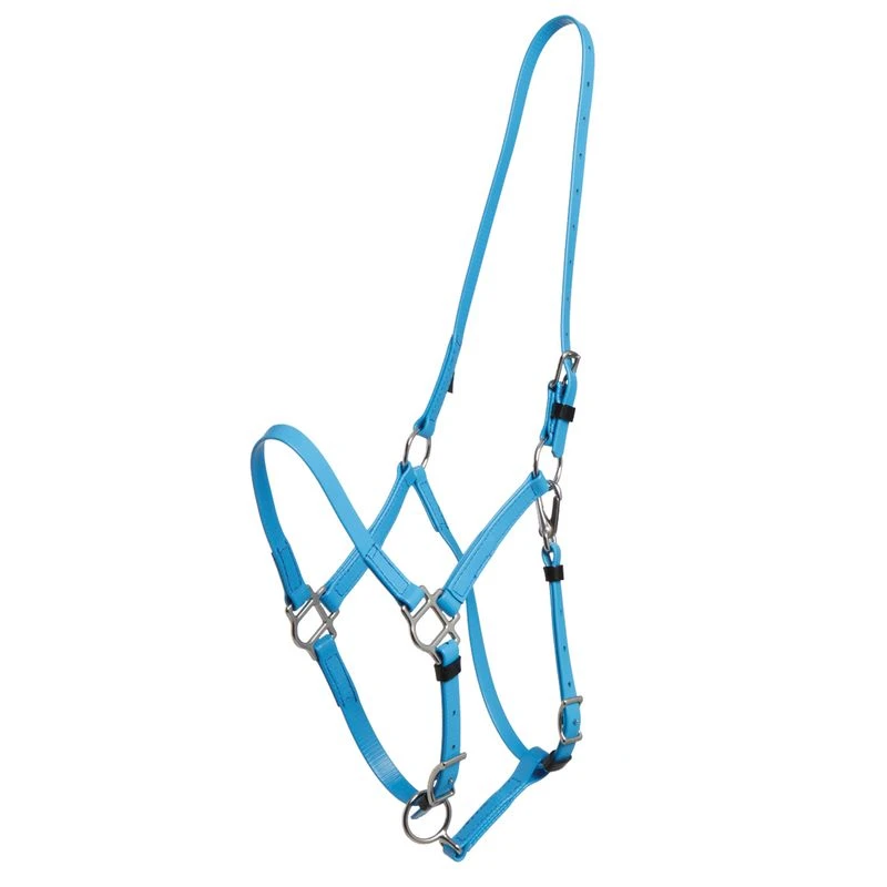 Zilco Deluxe Endurance Bridle/Halter Cavesson Only - Electric Blue 1 Zilco Deluxe Endurance Bridle/Halter Cavesson Only - Electric Blue