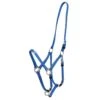 Zilco Deluxe Endurance Bridle/Halter Cavesson Only - Royal Blue