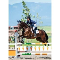 Kerrits Women's Stretch Competitor Koat 4 Snap - Navy -Equestrian Supplies Shop 567401 800 800