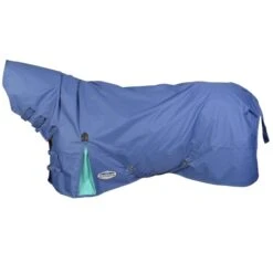 Equestrian Supplies Shop -Equestrian Supplies Shop 580037 800 800