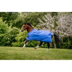 Amigo Hero Ripstop Turnout 0g - Blue/Navy/Grey -Equestrian Supplies Shop 606684 800 800