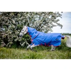 Amigo Bravo 12 Reflective Plus Turnout 250g - Blue/Reflective/Pink -Equestrian Supplies Shop 606838 800 800