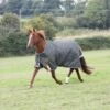 Shires Highlander Plus Lite Standard Neck Turnout - Green