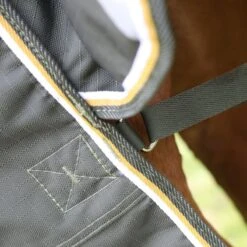 Equestrian Supplies Shop -Equestrian Supplies Shop 621032 800 800