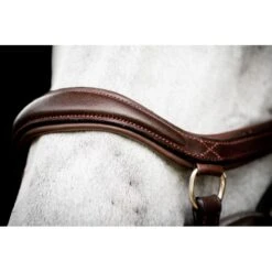 Rambo Micklem 2 Deluxe Competition Bridle W/Reins - Dark Havana -Equestrian Supplies Shop 665952 800 800