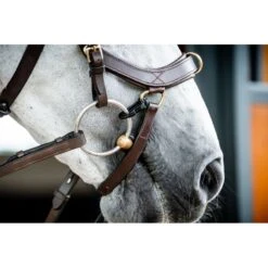 Rambo Micklem 2 Multi Bridle - Dark Havana -Equestrian Supplies Shop 665984 800 800