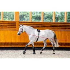 Rambo Micklem 2 Multi Bridle - Dark Havana -Equestrian Supplies Shop 665987 800 800