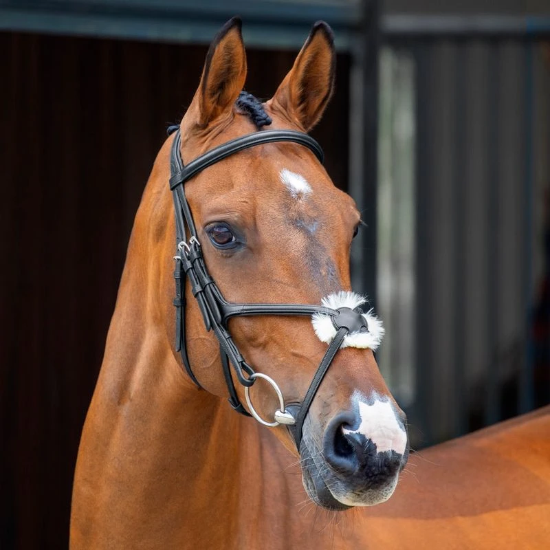 Shires Velociti Lusso Grackle Bridle - Black 1 Shires Velociti Lusso Grackle Bridle - Black