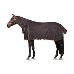 Horze Avalanche Heavyweight Combo Turnout Blanket - Chocolate Martini