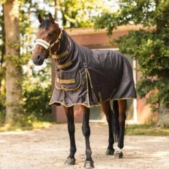 Horze Avalanche Heavyweight Combo Turnout Blanket - Chocolate Martini -Equestrian Supplies Shop 699541 800 800