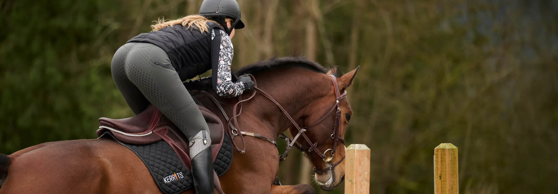 Equestrian Supplies Shop -Equestrian Supplies Shop fghfh